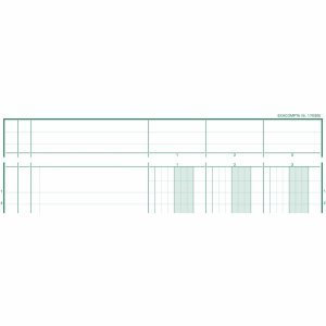Exacompta Spaltenbuch A4 Karton mit Kopfleiste 3 Spalten 40 Blatt