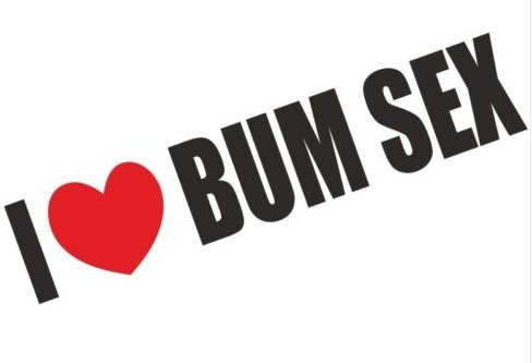 1st-Class-Designs I Love Bum Sex Funny Bumper Sticker Car Van Bike Sticker Decal Free P&P PRINTED SO PEEL AND STICK