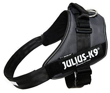 Julius-K9, IDC Powergeschirr, Größe: 3XL / 4, Anthrazit