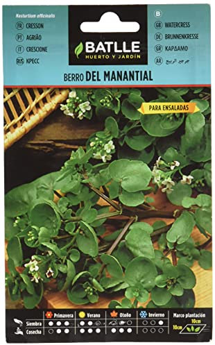 Battle - Semi Aromatici Crescione da Fiume (Semi - 20Cm)