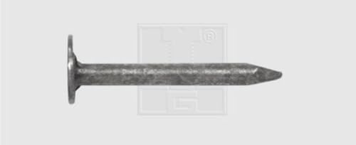 SWG Dachpappstift DIN 1160 2 x 20 mm Stahl feuerverzinkt 1 kg