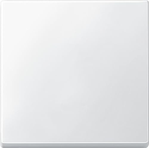 Schneider Electric Merten Wippe, 433119 | Für Schalter, System M, polarweiss, 1 Stück
