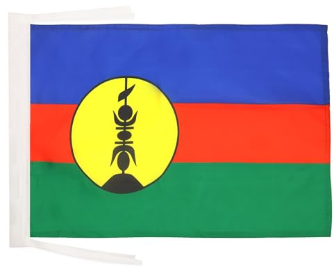 AZ FLAG Bandiera Nuova Caledonia 45x30 cm Poliestere 100D Cordini | Uso interno ed esterno bandiera decorativa della Nuova Caledonia Nouvelle-Calédonie doppie cuciture e bordi rinforzati