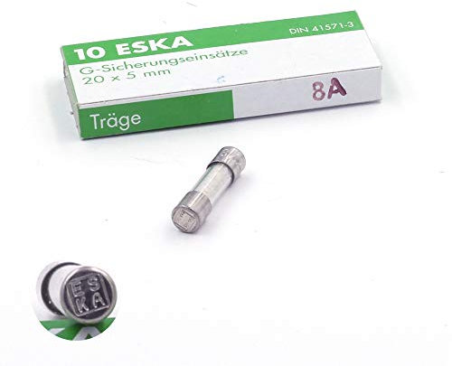 10 fusibili temporizzati (T) in vetro 8 A/250 V AC 5 x 20 mm