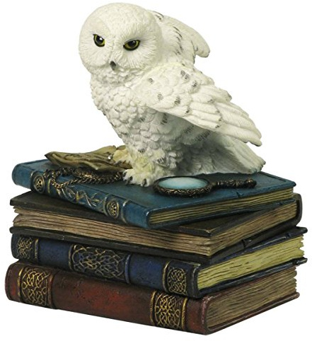 Unbekannt Schneeeule sitzt auf Büchern als Schmuckbox Figur Uhu Eule Buch