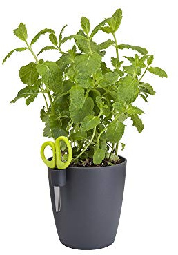 elho brussels kräuter single s Blumentopf - anthrazit