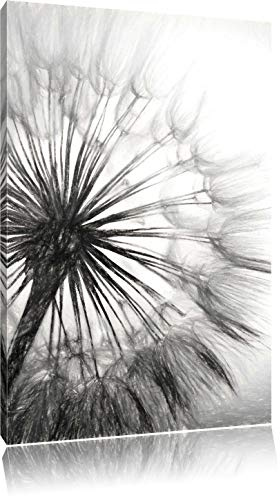 Pixxprint Schöne Pusteblume, Größe: 80x60cm, Leinwandbild, fertig gespannt, Wandbild, Dekoration, Kunstdruck, kein Poster