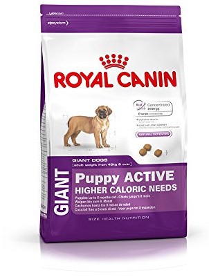 Royal Canin Hundefutter Giant Puppy Active 15 kg, 1er Pack (1 x 15 kg)