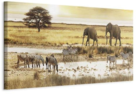 B&D XXL - Leinwandbild Savanne Tiere Natur, 120x40 cm, 1-teilig, Wohnzimmer | Hochwertige Leinwand, sofort aufhängbar, ideal fürs Wohn- oder Schlafzimmer, wasserfest und lichtecht, langlebig, stilvoll