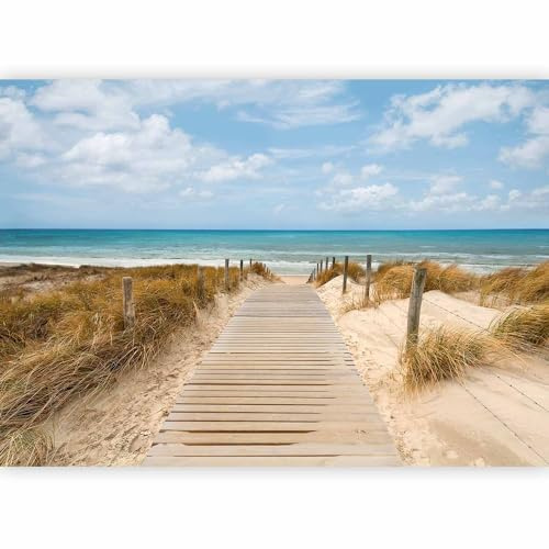 Fotomurales B&D XXL - 350x256 cm XXL Papel pintado tejido no tejido Decoración de Pared decorativos Murales moderna Diseno Fotográfico paisajes naturaleza mar playa c-a-0054-a-c