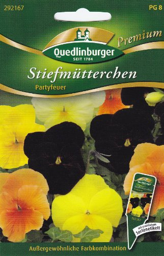 Stiefmütterchen, Partyfeuer