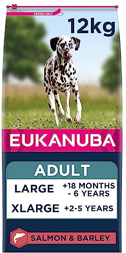 Eukanuba Chien Adulte Nourriture sèche Pour Grande Race Saumon&Orge 12kg