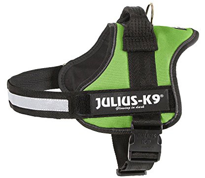 K9 Powersele, storlek: S/Mini, Kiwi