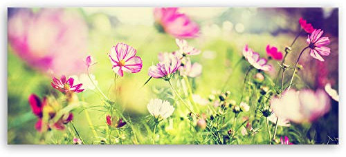 ge Bildet Bild auf Leinwand | Frühling - blumen natur Wiese rosa pink bunt L in 100x40 cm als Panorama Wandbild | Wand-deko Dekoration Wohnung modern Bilder | 2206