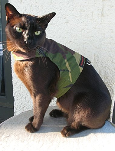 Mynwood Cat Jacke/Geschirre graue Leopard Pelz Erwachsene Katze ausbruchsicher