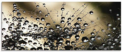 ARTland Wanddeko Glasbilder Wandbild Glas Bild einteilig 125x50 cm Querformat Natur Botanik Blumen Pusteblume Frühling Wassertropfen Modern S5YR