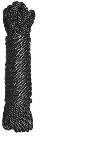Nastro di nylon di nylon di serie della serie principale nera - 10 ft.