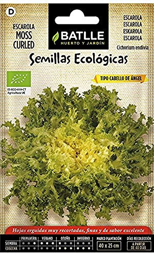 Battle - Semi Ecologici Insalata Scarola - Moss Curled (300 Semi - Bio)