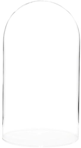 Plymor 5.5 x 10 Glass Display Dome Cloche (no Base)