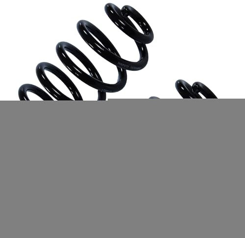 BESTPRICE 2x Muelle suspensión trasera izquierda derecha compatible con AUDI A4 B6 Avant (8E5), A4 B7 Avant (8ED), SEAT EXEO (3R2)