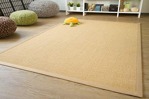 Steffensmeier Sisal Teppich Brazil mit Bordüre Farbe Natur beige Premium Qualität 100% Sisal, Größe: 300x400 cm