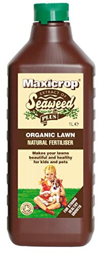 Maxicrop XOLNF61L Organic Lawn Fertiliser, 1L - Natural Organic Fertiliser with Seaweed Extract for Strong Growth and Healthy Root Development