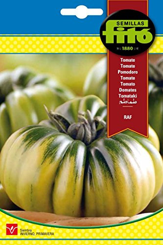 Semillas Fitó Raf tomate