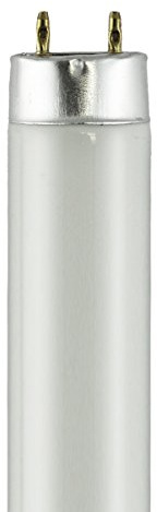 F32T8-BL (48 in.) - Wattage 32W, Type T8 Black Light (White)