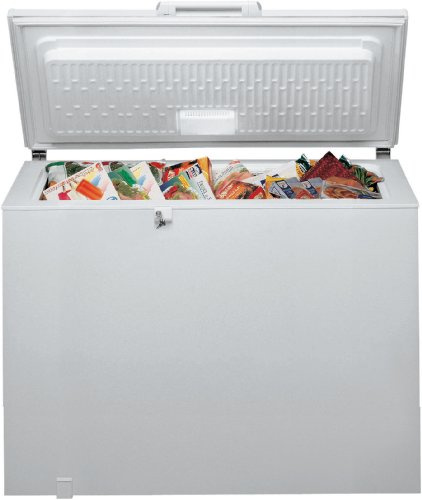 Bauknecht GTE 330 A2+, congelatore: 311 l, bianco, Space Max, super congelatore.