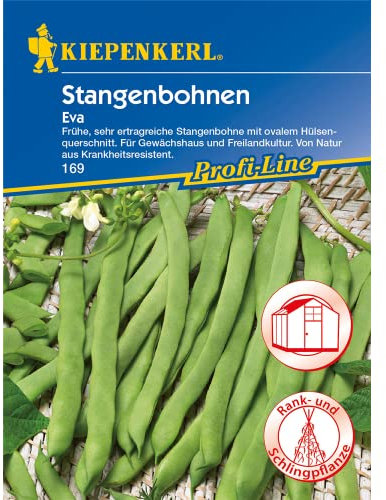 Sperli Gemüsesamen Stangenbohnen Eva, grün