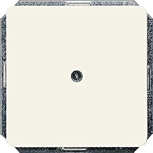 profil Blind-Abdeckplatte tws 5TG1810 4001869041889 Siemens Dig.Industr.