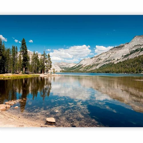 murando Fotomurales Montana 400x309 cm XXL Papel pintado tejido no tejido Decoración de Pared decorativos Murales moderna de Diseño Fotográfico 100403-94