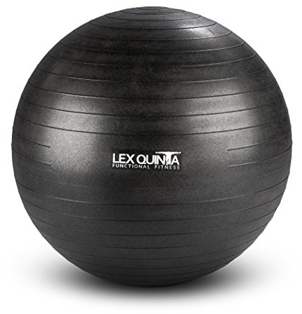 Lex Quinta Gym Ball 65cm