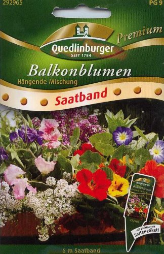 SB Balkonblumen, hängende Mischung