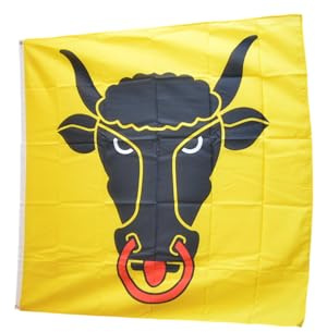 Flaggenfritze Hissflagge Schweiz Kanton Uri 120 x 120 cm - quadratische Kantonsfahne für Mast, Garten & Event - 2 Metallösen