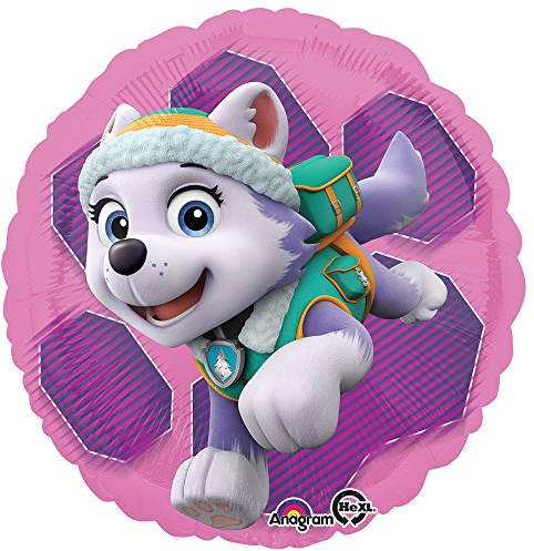 Paw Patrol Skye & Everest - Standard Circle