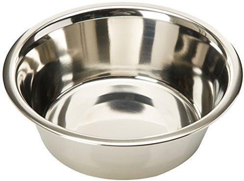 AMI CONFORT Bol pour Chien en Inox 21 cm