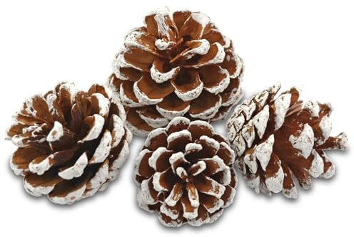 EDZARD Pommes de pin décorative, Blanche, Taille 50-90 mm, Sachet de 600 ML