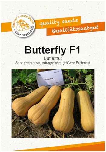 Butterfly F1 Butternut Kürbissamen von Bobby-Seeds, Portion