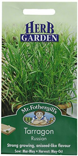Mr Fothergill's 23979 Herb Seeds, Tarragon Russian