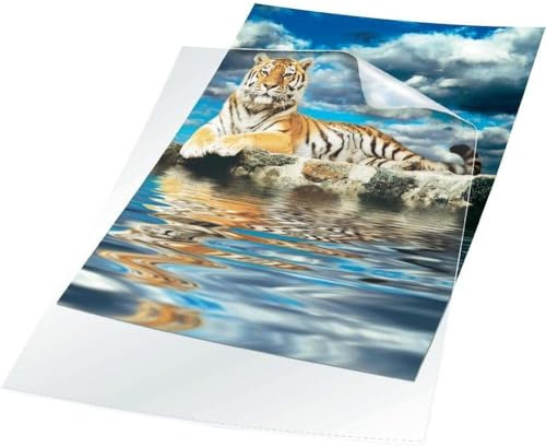 Durable 233519 Aktmapp A4, transparent, 100 stycken