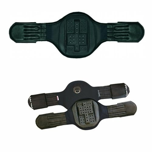 Kurzgurt Dressurgurt Privilege Equitation le Tixerant Gibaud (80 Zentimeter)