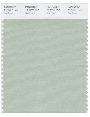 PANTONE SMART 14-6007X Color Swatch Card, Sea Foam