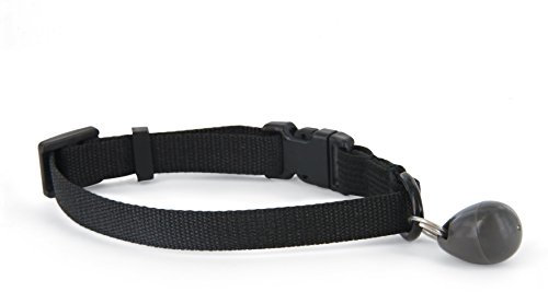 PetSafe Staywell, Controlled Entry, Magnetic Collar Key, Safe, Convenient, Secure, Microchip alternative for Cat’s