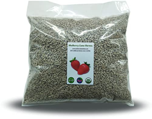 Sunflower Seeds, 5 Pounds Raw, Hulled, Unsalted, No Salt, USDA Certified Organic, Non-GMO Bulk, Product of USA, Mulberry Lane Farms