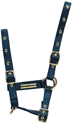 Cottage Craft Foal Headcollar - Navy Blue, Foal