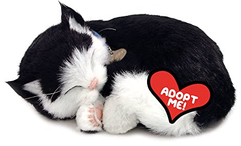 Plenty Gifts Perfect Petzzz – 4932 – Soft Toy – Black and White Short Haired Cat