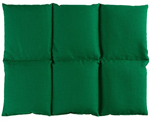 Coussin aux graines de groseille 40x30 - Coussin chauffant pour le dos ... - Bouillotte sèche - Compresse chaude ou froide (6 compartiments; Design: vert)