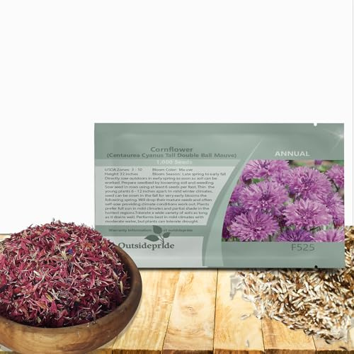 Outsidepride Mauve Ball Cornflower Seeds for Planting - 2000 Pcs. Annual Bachelor's Button Flower Seeds for Cut Flower Gardens, Drought-Tolerant, Attracts Pollinators, Ideal for Borders & Bouquets