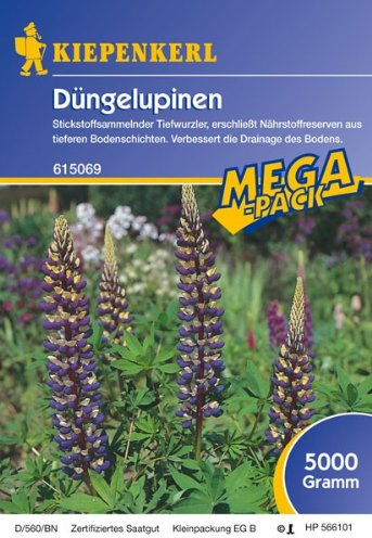 Kiepenkerl